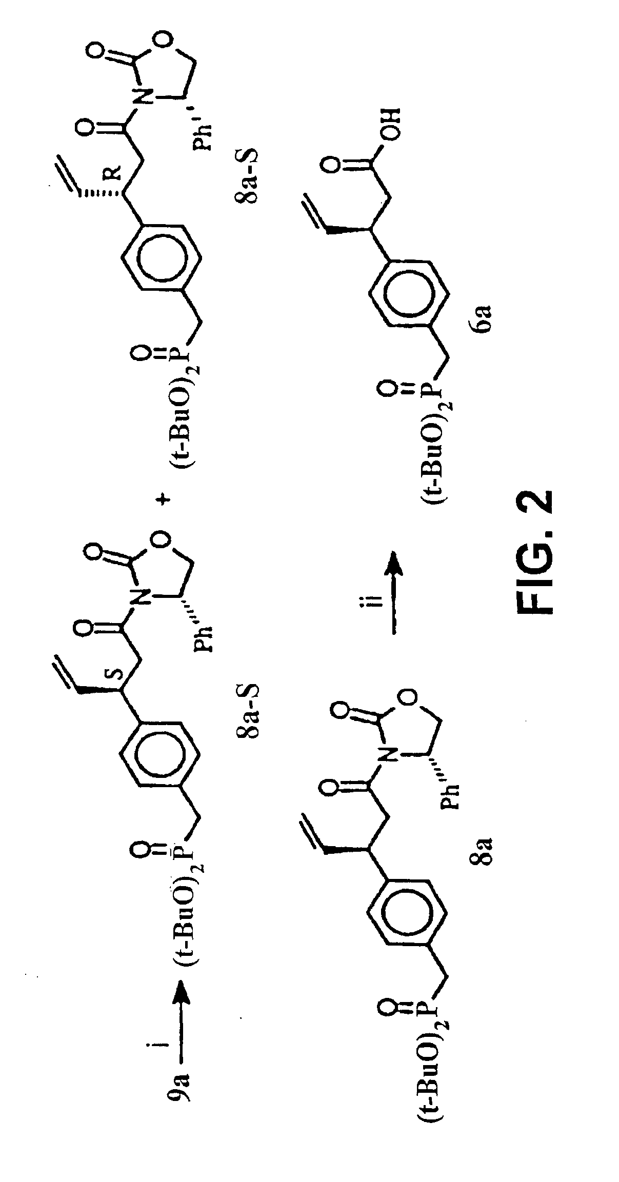 SH2 domain binding inhibitors