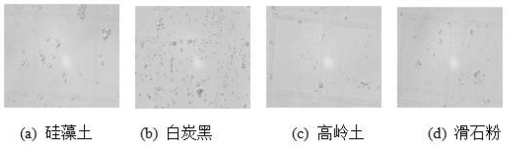 A kind of wettable bacteria powder and its preparation method and application