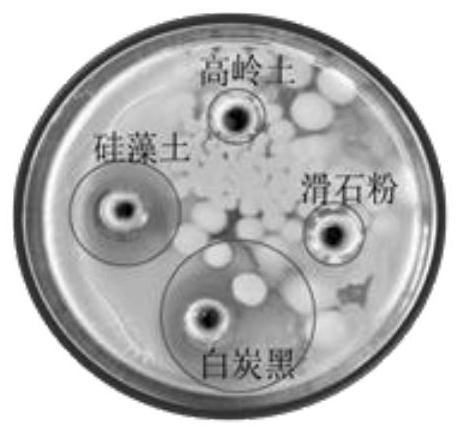 A kind of wettable bacteria powder and its preparation method and application