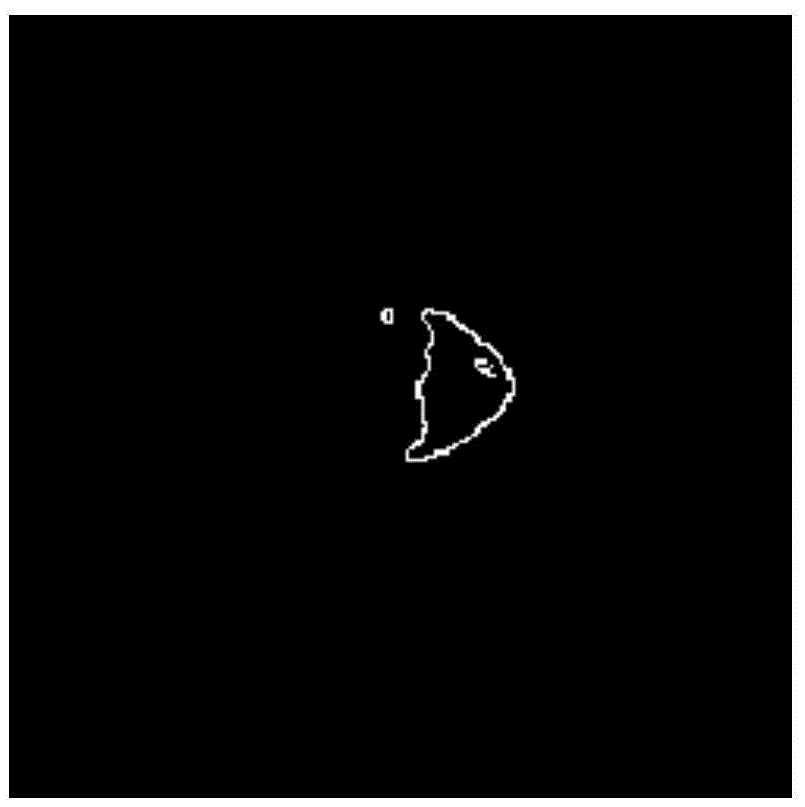 Irregular coelonavigation sight line information extracting method