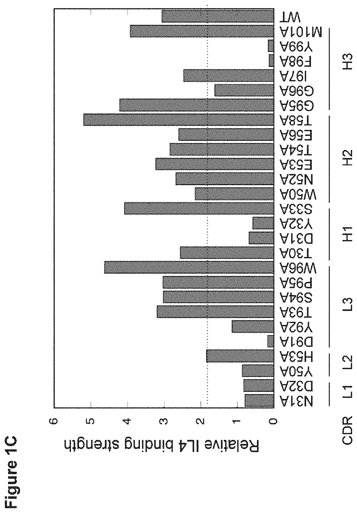 Dual specific antibodies