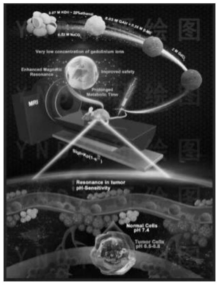 Preparation method of sericin-gadolinium pH responsive targeting tumor nuclear magnetic resonance contrast agent