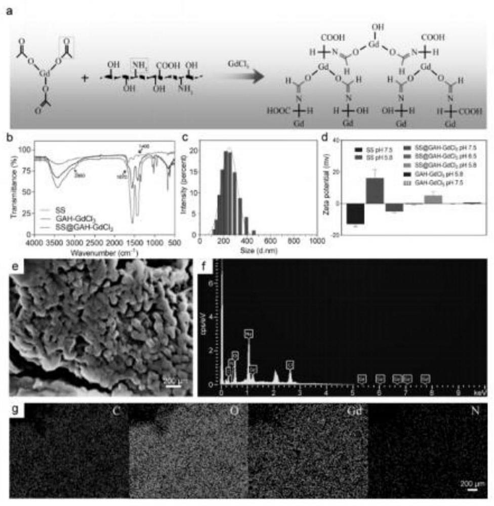 Preparation method of sericin-gadolinium pH responsive targeting tumor nuclear magnetic resonance contrast agent