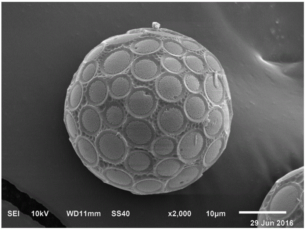 Sustained release microsphere carrying rifapentine and linezolid as well as preparation method and applications of sustained release microsphere