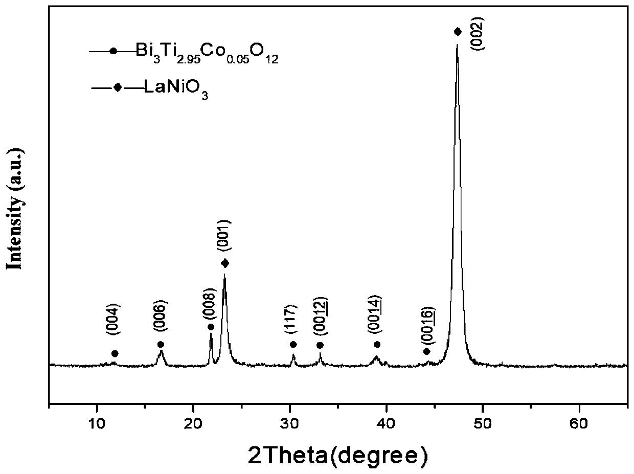 Bi4Ti2.95Co0.05O12 multiferroic film capable of realizing c-axis oriented growth on Si as substrate and preparation method of Bi4Ti2.95Co0.05O12 multiferroic film