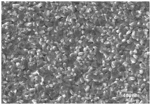 Bi4Ti2.95Co0.05O12 multiferroic film capable of realizing c-axis oriented growth on Si as substrate and preparation method of Bi4Ti2.95Co0.05O12 multiferroic film