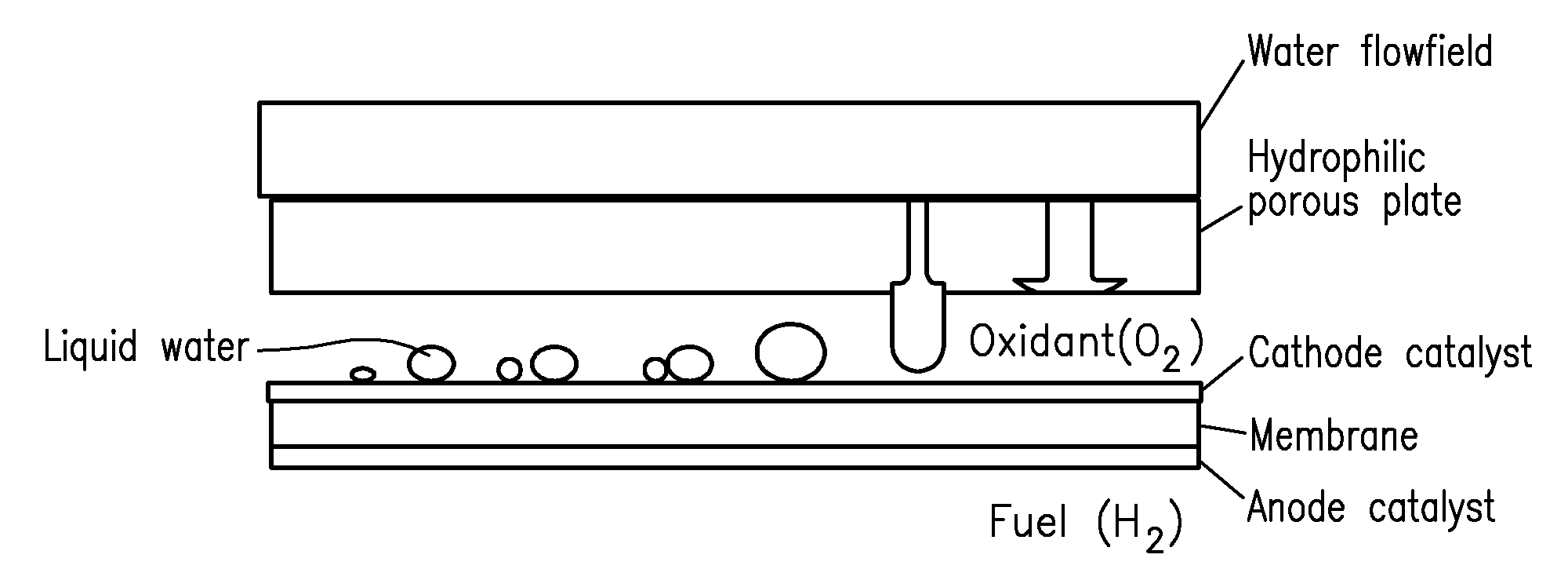 Electrochemical cell