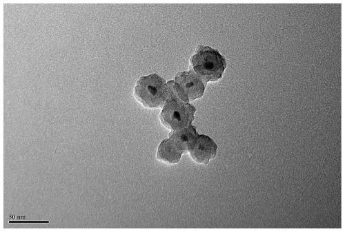 A medium and low temperature catalytic decomposition n  <sub>2</sub> Catalyst and preparation method and application of o