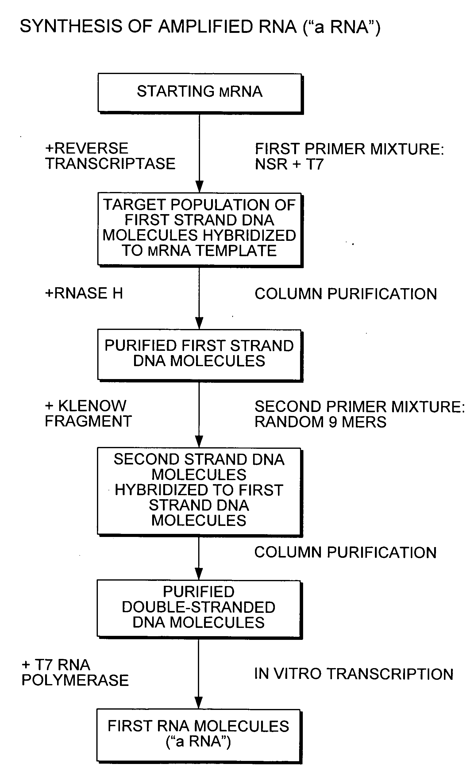 Nucleic acid amplification using non-random primers