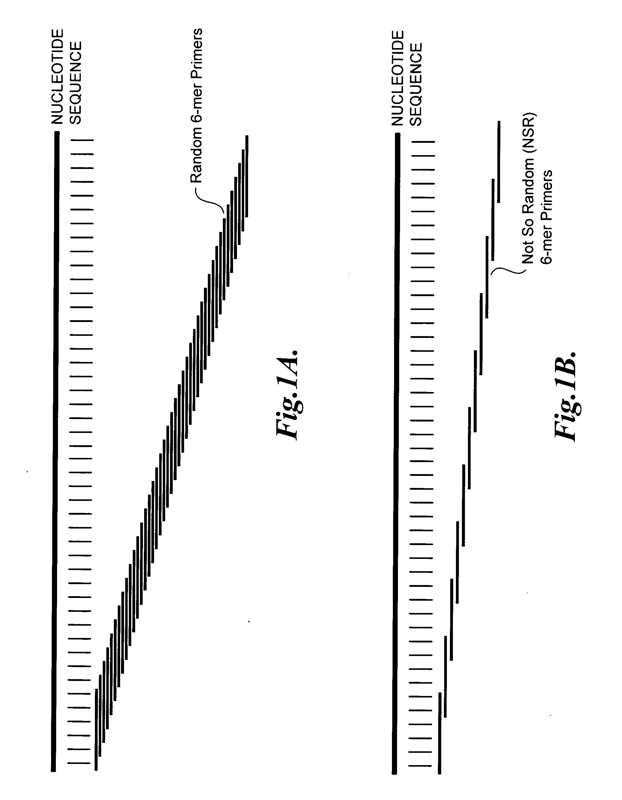 Nucleic acid amplification using non-random primers