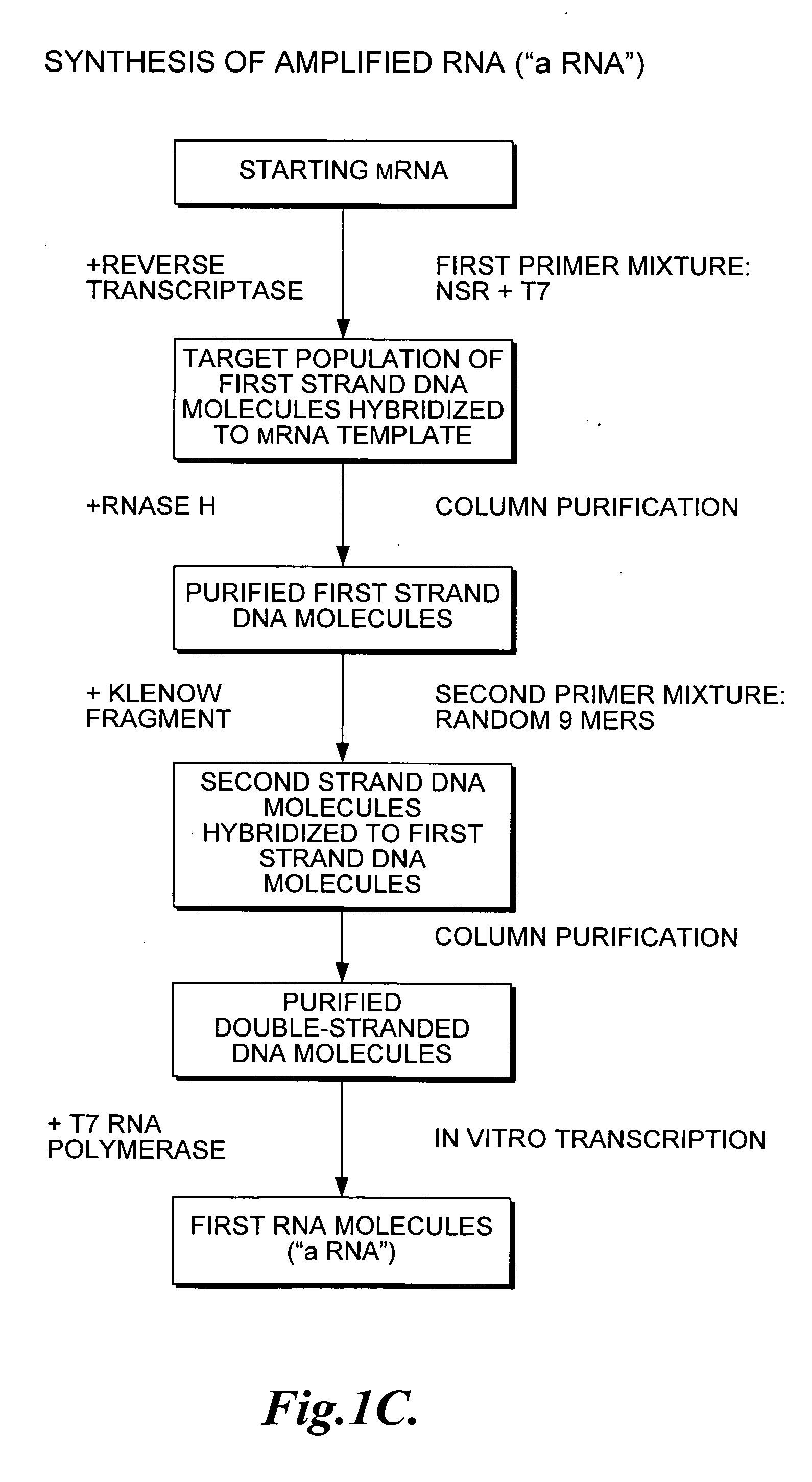 Nucleic acid amplification using non-random primers