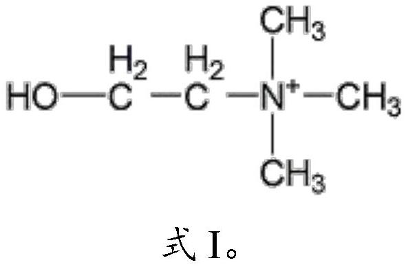 Accelerant for improving dry weight of euglena gracilis, euglena gracilis culture medium and application of euglena gracilis culture medium