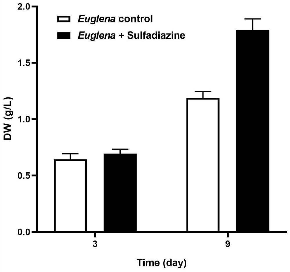 Accelerant for improving dry weight of euglena gracilis, euglena gracilis culture medium and application of euglena gracilis culture medium