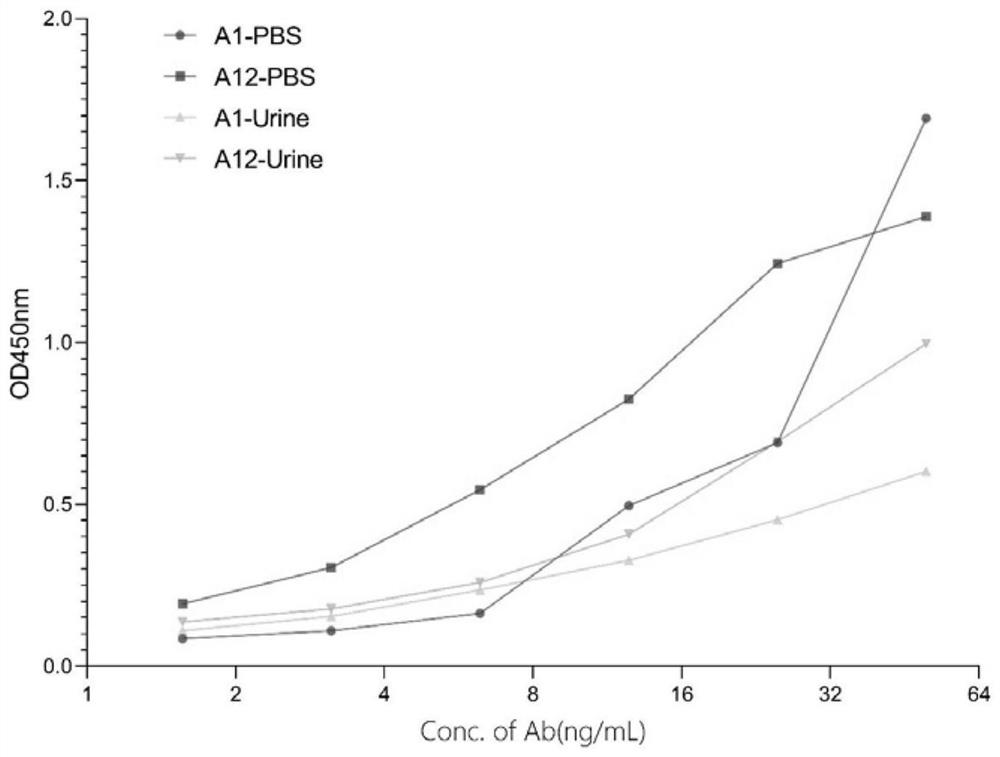 Humanized anti-mycobacterium tuberculosis complex LAM monoclonal antibody and preparation and application thereof