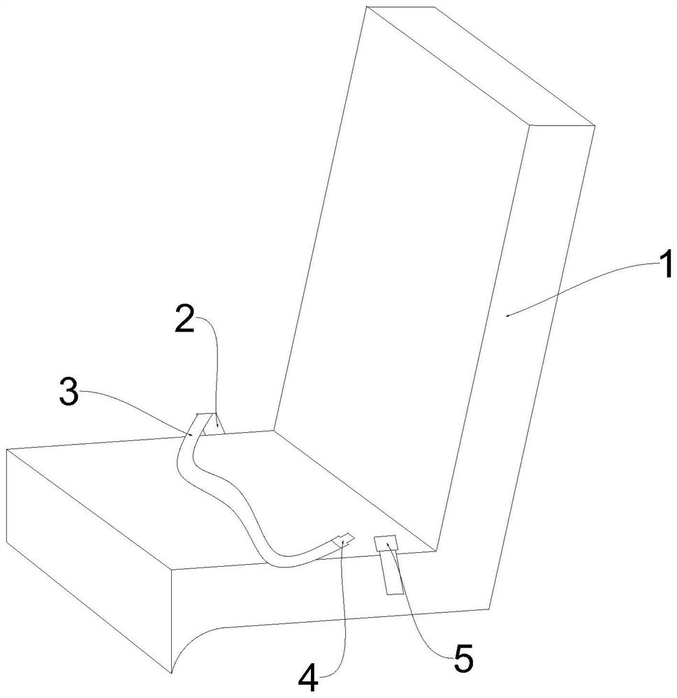 Device and method for monitoring passenger car safety belt