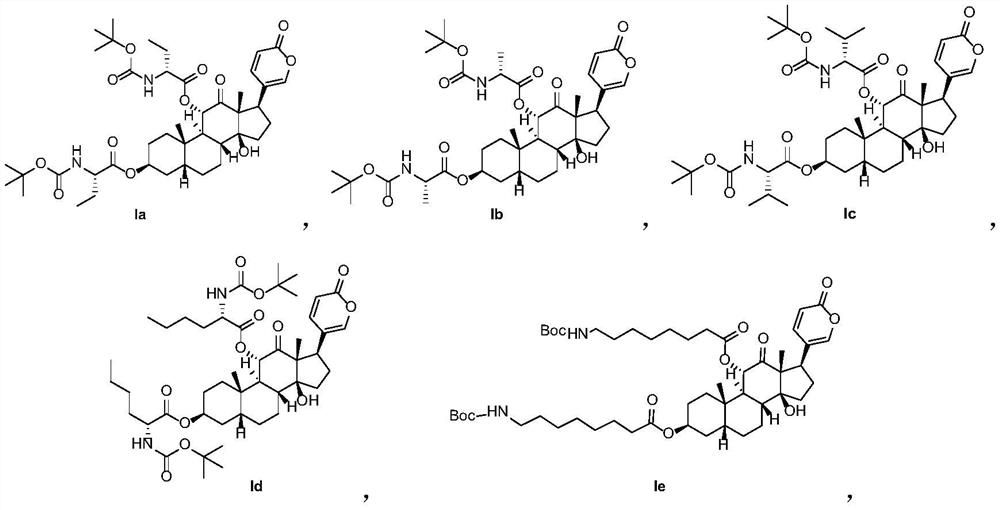 Arenobufagin derivative, preparation method thereof, pharmaceutical composition of arenobufagin derivative and application ofarenobufagin derivative