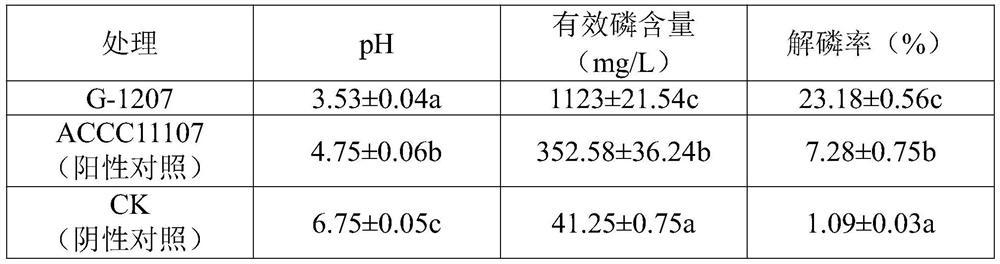 A spindle-shaped lysine bacillus and its application in ecological reconstruction of mining area reclamation