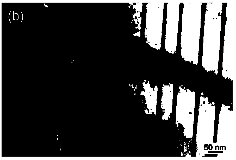 Preparation method of medical magnesium alloy capable of being evenly degraded