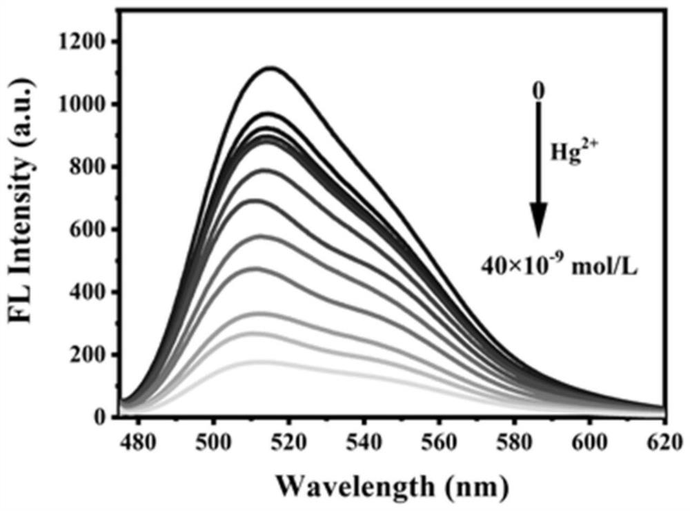 Fluorescein type ionic liquid, synthetic method thereof and application of fluorescein type ionic liquid in detection of mercury ions or methyl mercury ions