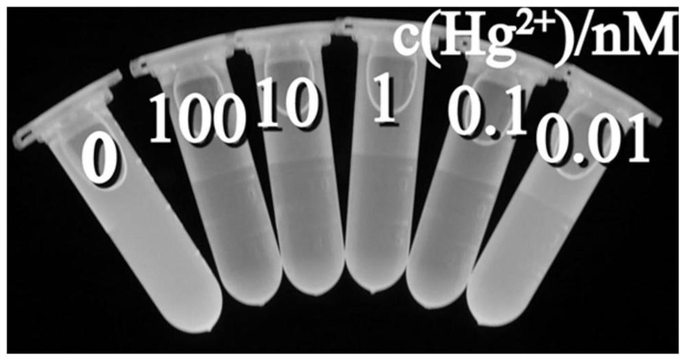 Fluorescein type ionic liquid, synthetic method thereof and application of fluorescein type ionic liquid in detection of mercury ions or methyl mercury ions