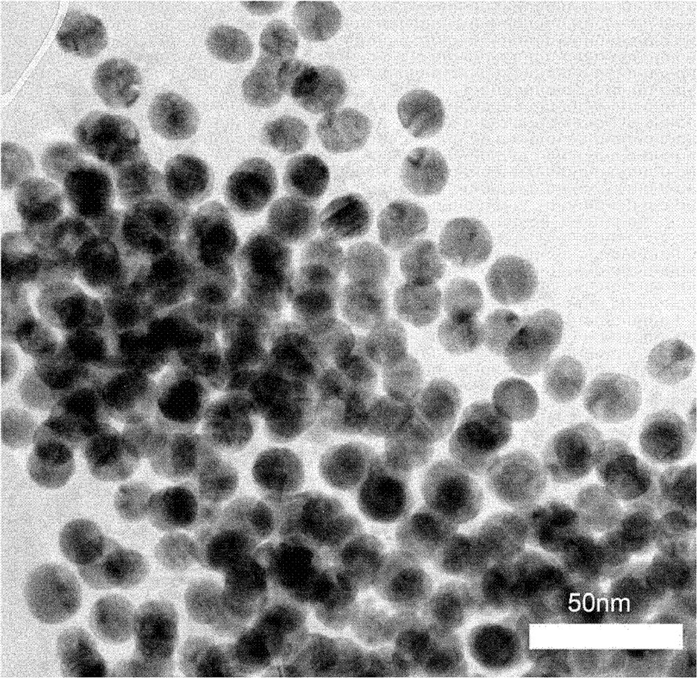 Method for detecting mercury ion concentration of water sample