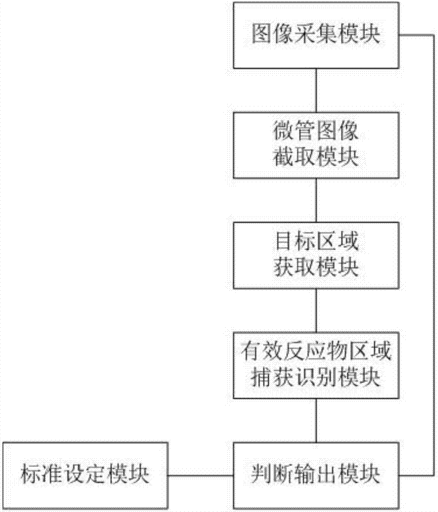 Microtube column agglutinatior agglutination assay result identification system and blood grouping analyzer