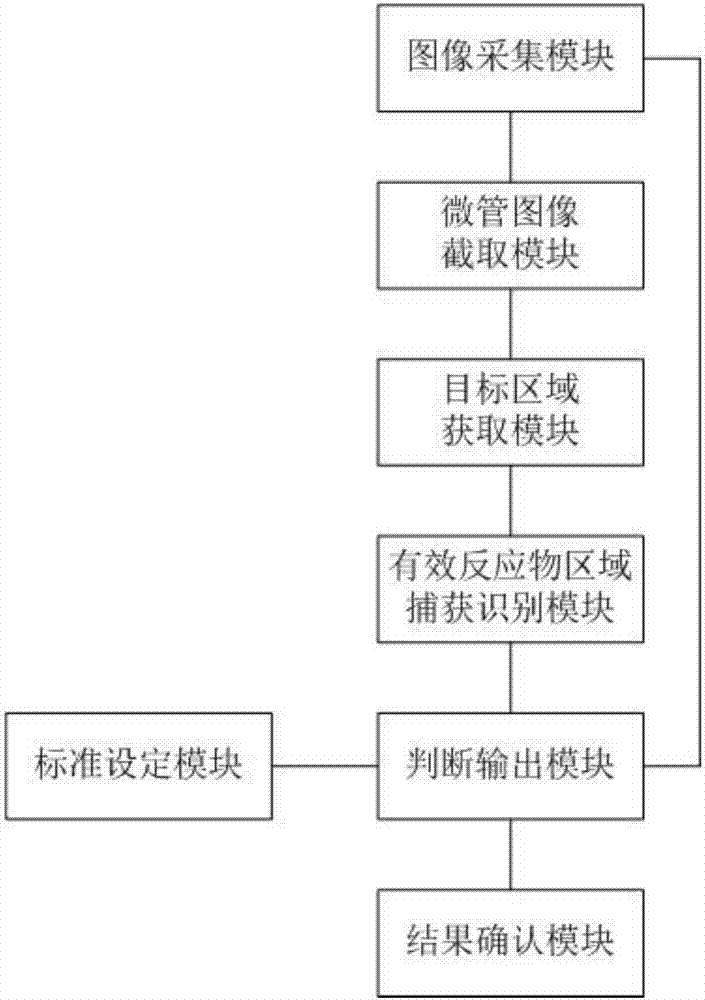 Microtube column agglutinatior agglutination assay result identification system and blood grouping analyzer