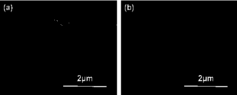 Zirconium-based MOF material-based zirconium oxide-coated lithium ion battery ternary positive electrode material and preparation method thereof