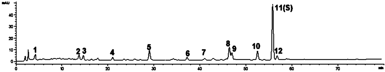 Method for creating HPLC (high-performance liquid chromatography) fingerprint spectra of vinegar-processed rhizoma cyperi