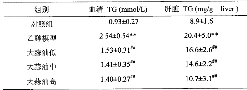 Use of garlic oil in preparing medicine against acute alcoholic fatty liver