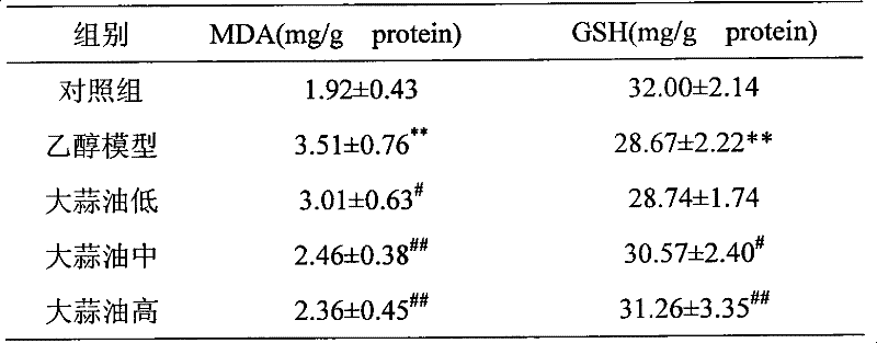 Use of garlic oil in preparing medicine against acute alcoholic fatty liver