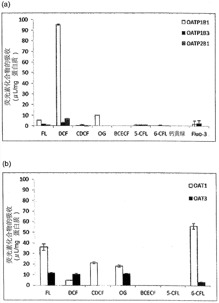 Method for screening for compound capable of enhancing or inhibiting OATP1B1 transport activity, and method for determining expression level of OATP1B1