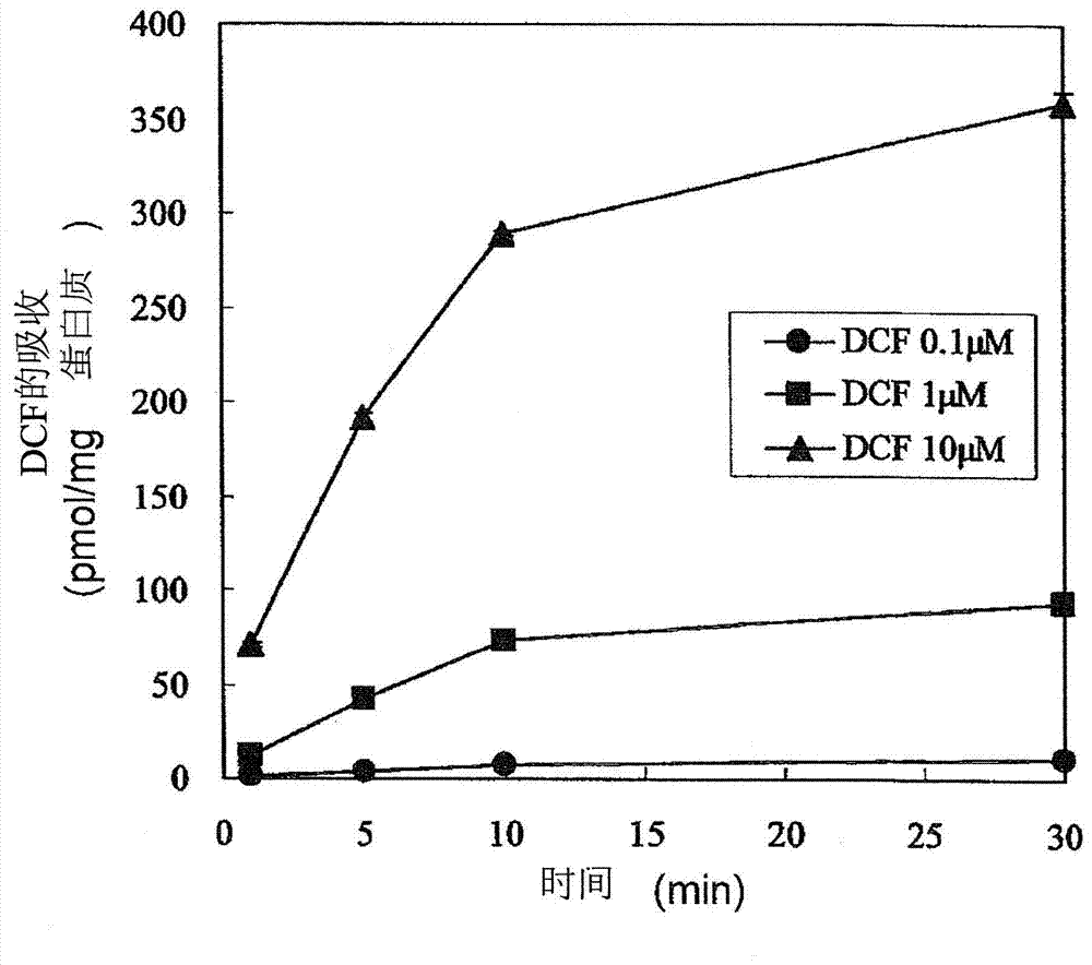 Method for screening for compound capable of enhancing or inhibiting OATP1B1 transport activity, and method for determining expression level of OATP1B1