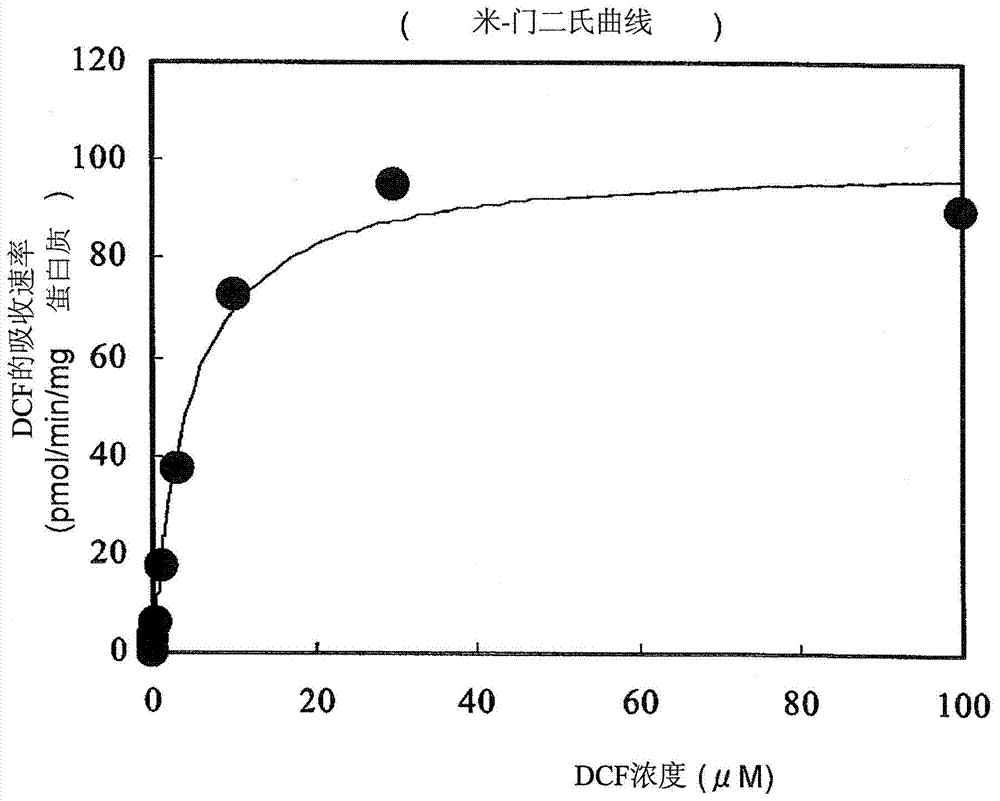 Method for screening for compound capable of enhancing or inhibiting OATP1B1 transport activity, and method for determining expression level of OATP1B1