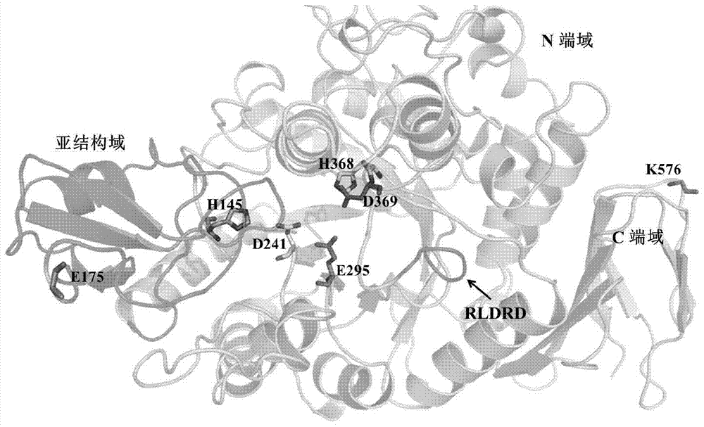 A sucrose isomerase mutant with improved thermostability and catalytic efficiency