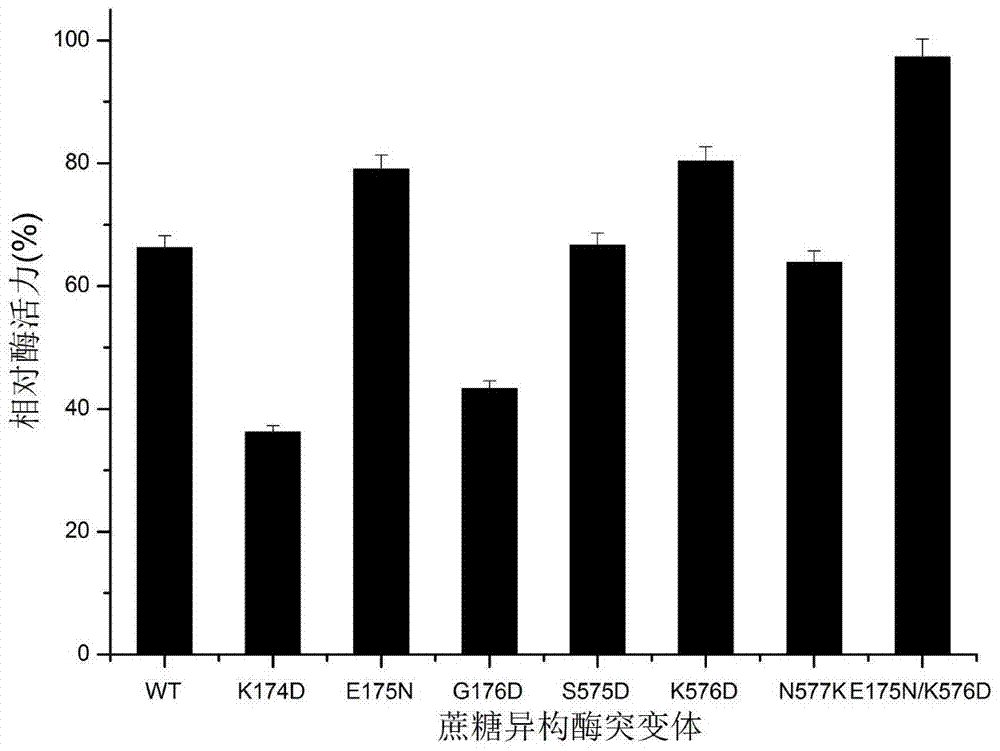 A sucrose isomerase mutant with improved thermostability and catalytic efficiency