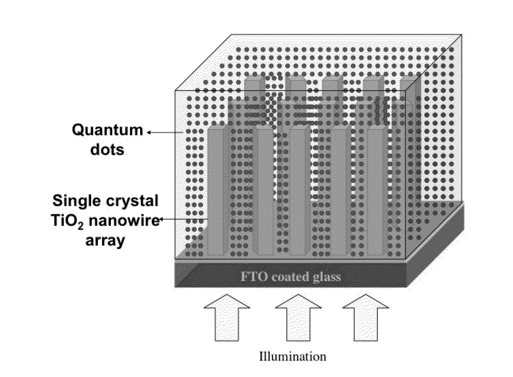 Methods to fabricate vertically oriented anatase nanowire arrays on transparent conductive substrates and applications thereof