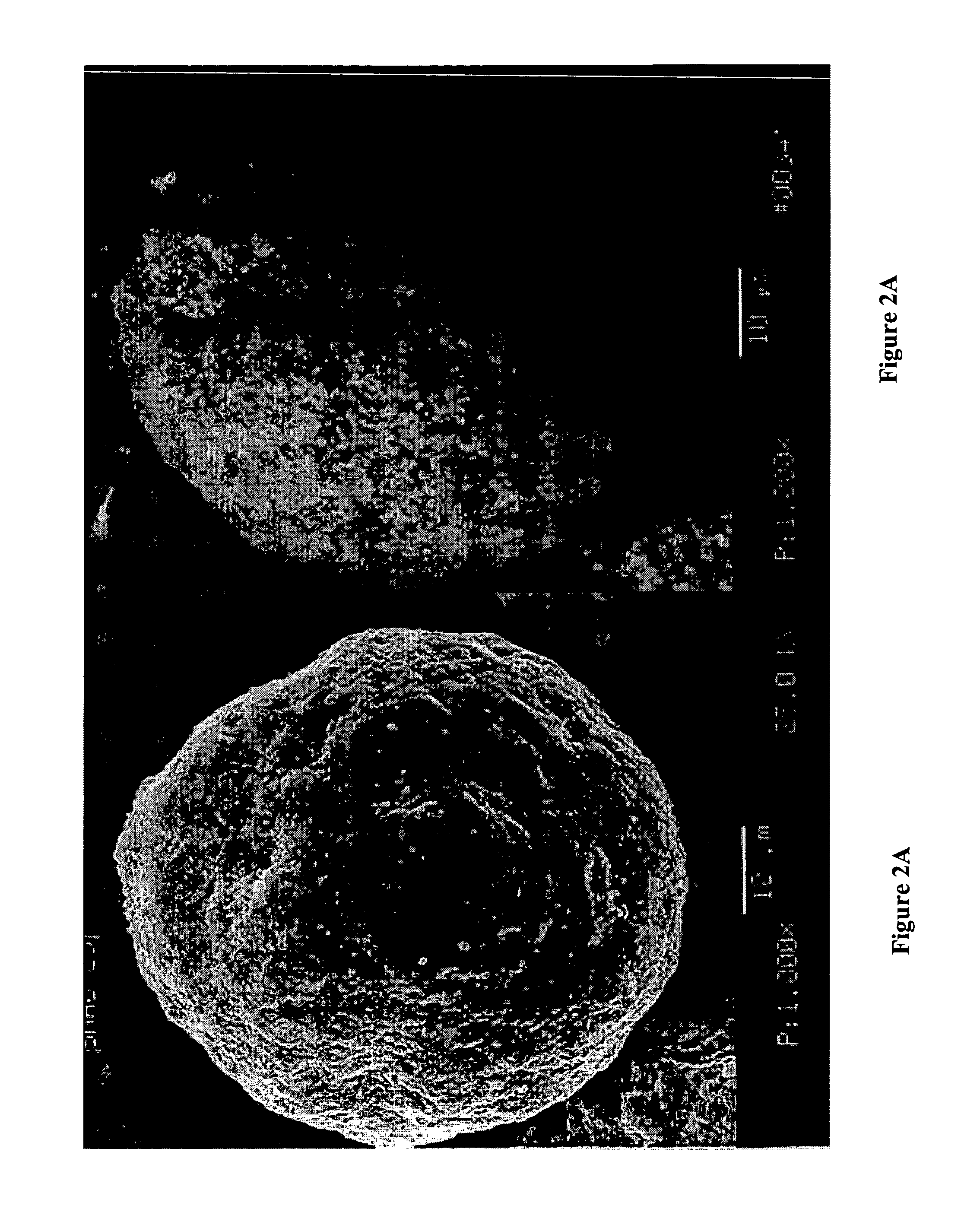 High surface area, small crystallite size catalyst for Fischer-Tropsch synthesis