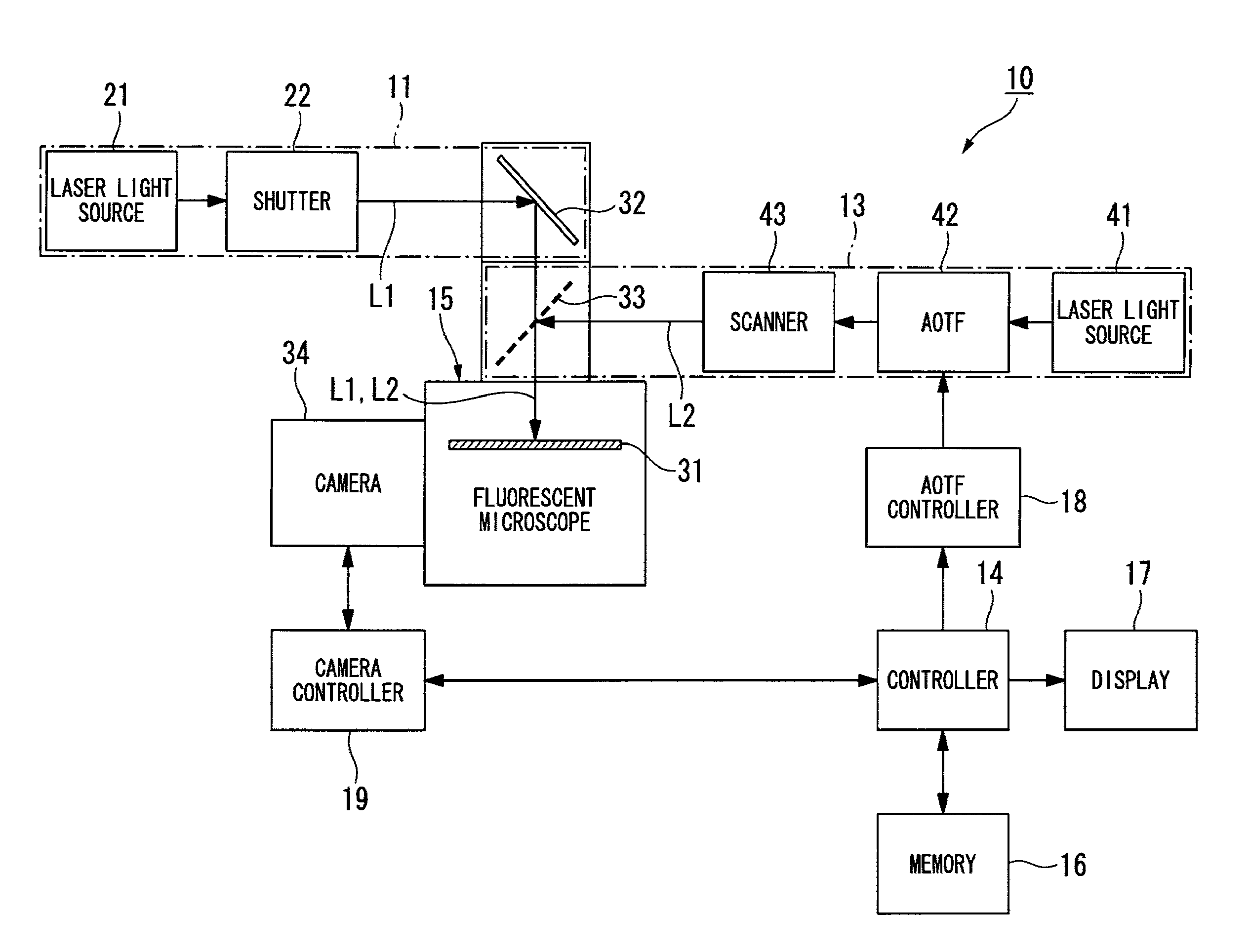 Microscope apparatus and observation method