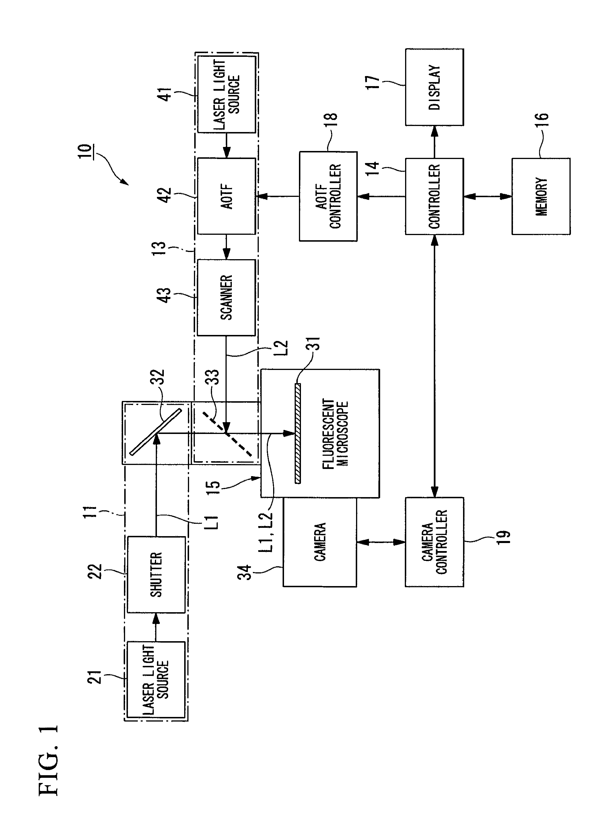 Microscope apparatus and observation method