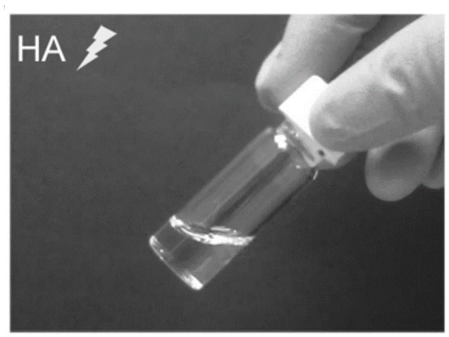 Preparation method of gel scaffold for repairing articular cartilage damage