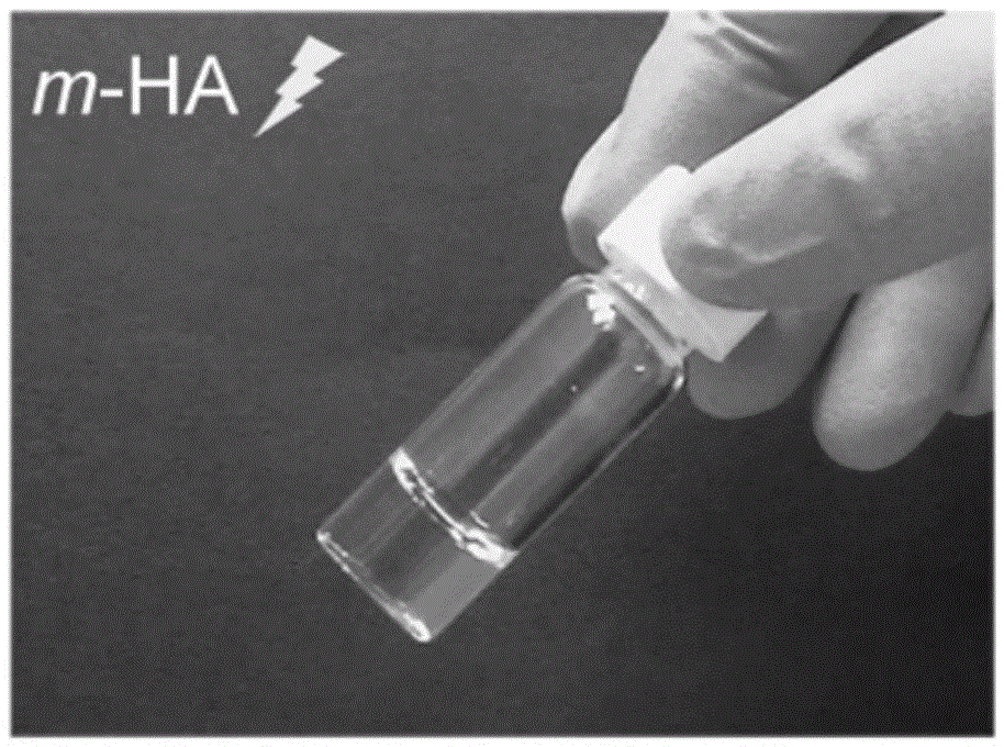 Preparation method of gel scaffold for repairing articular cartilage damage