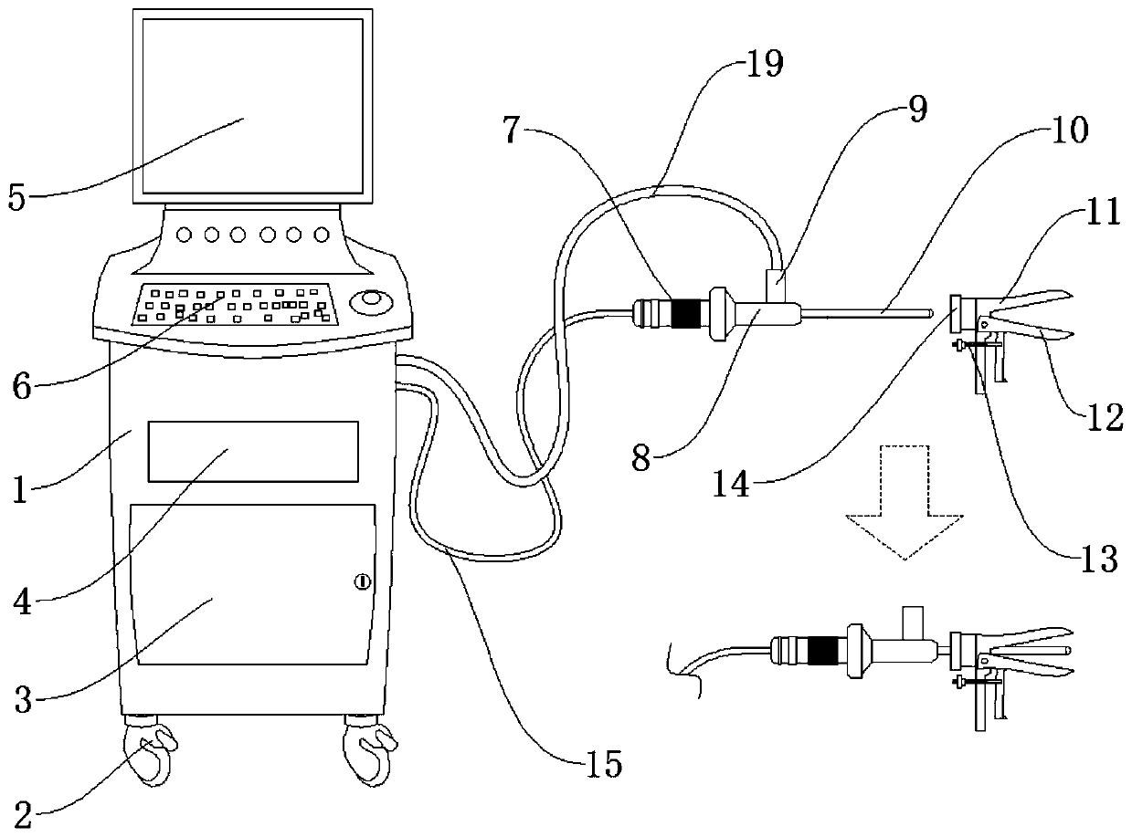 Endoscopic vagina examination device and use method thereof