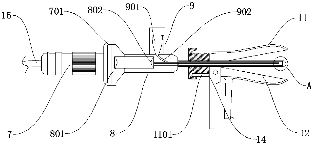 Endoscopic vagina examination device and use method thereof