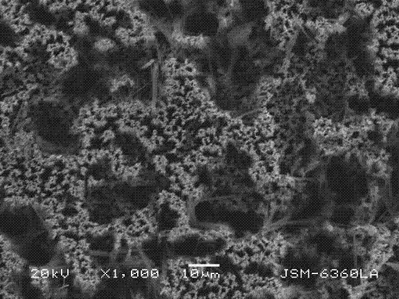 Pd-Ni/SiNWs array electrode glucose sensor and manufacturing method and application thereof