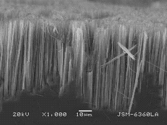 Pd-Ni/SiNWs array electrode glucose sensor and manufacturing method and application thereof