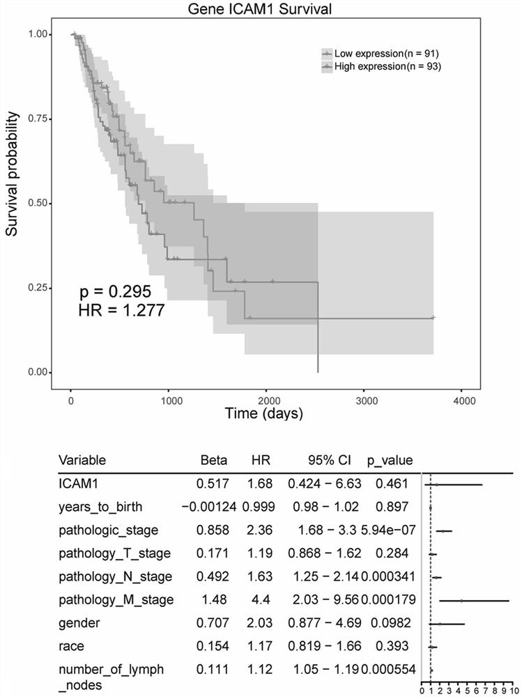 Biomarker for evaluating therapeutic effect of esophageal squamous cell carcinoma (ESCC) neoadjuvant chemoradiotherapy (nCRT)