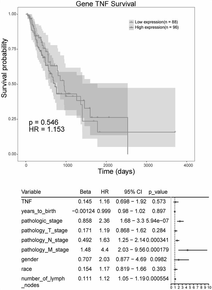 Biomarker for evaluating therapeutic effect of esophageal squamous cell carcinoma (ESCC) neoadjuvant chemoradiotherapy (nCRT)