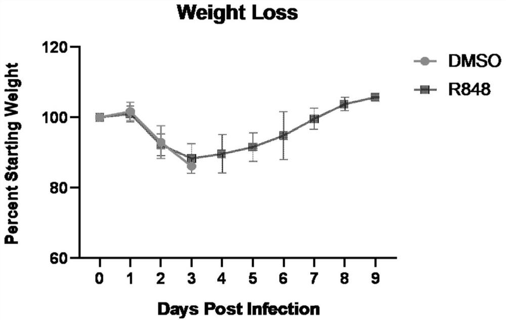 Application of R848 in preparation of medicine for inhibiting novel coronavirus SARS-CoV-2