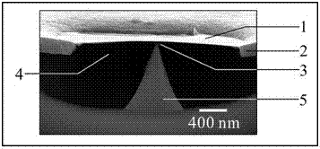 Two-dimensional layered material-based device and preparation method therefor